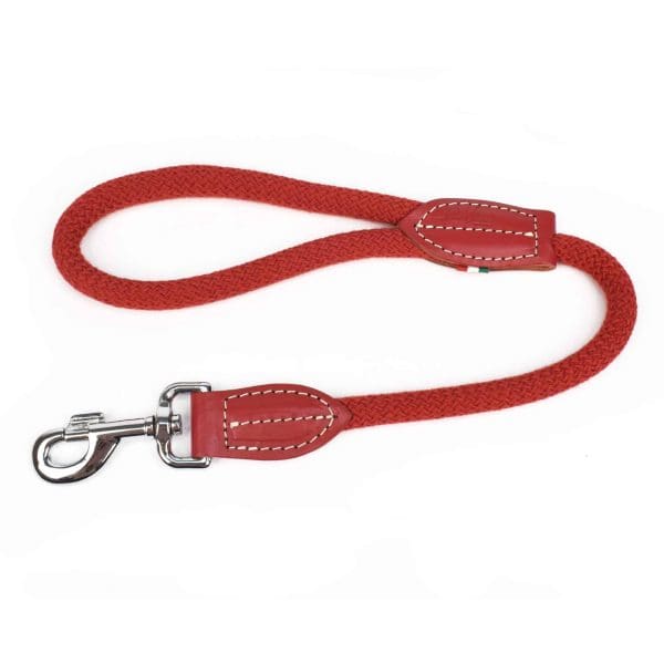 leather and rope dog and puppy leads red