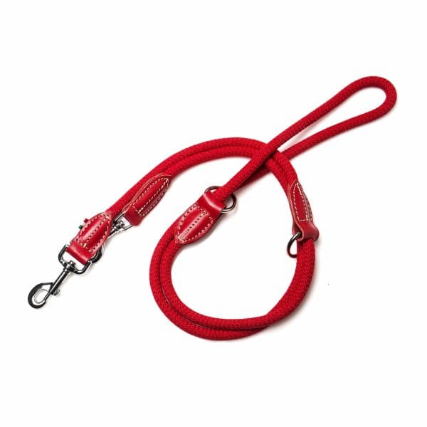 leather and rope training dog and puppy leads red