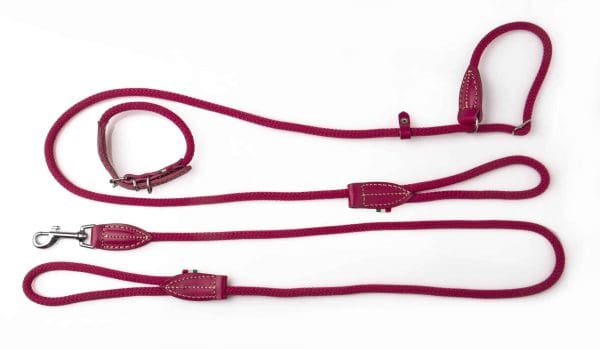 red dog lead and collar set