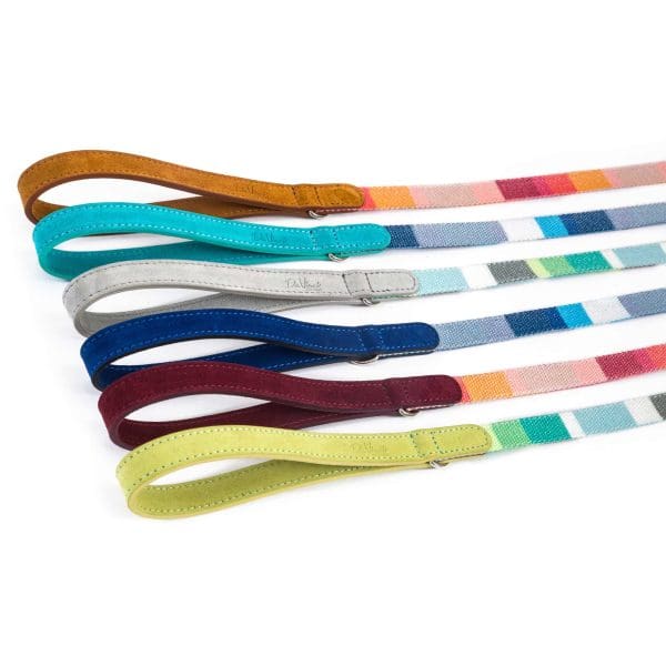 Striped fabric dog lead