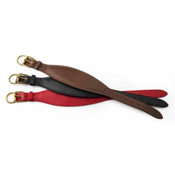 Ginevia leather Greyhound, Lurcher, Whippet, Bedlington Collar