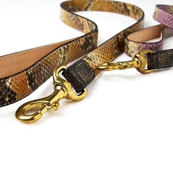 Beatrice leather puppy and dog collar with python snake design