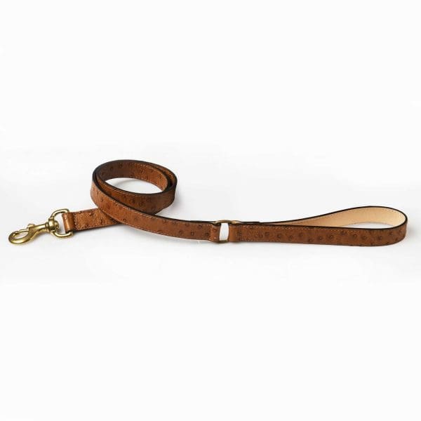 leather dog or puppy lead with ostrich design