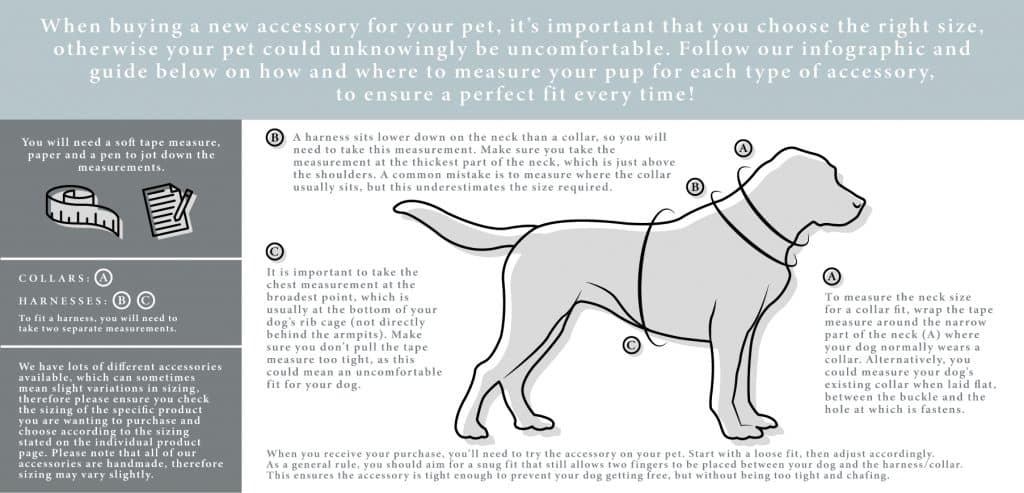 Dog collar and harness sizing infographic