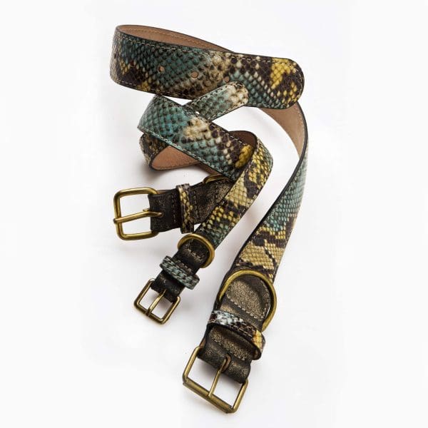 Beatrice python design leather dog puppy collar