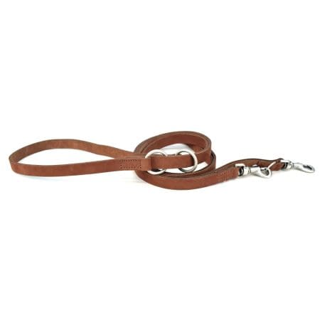 brown leather training dog lead