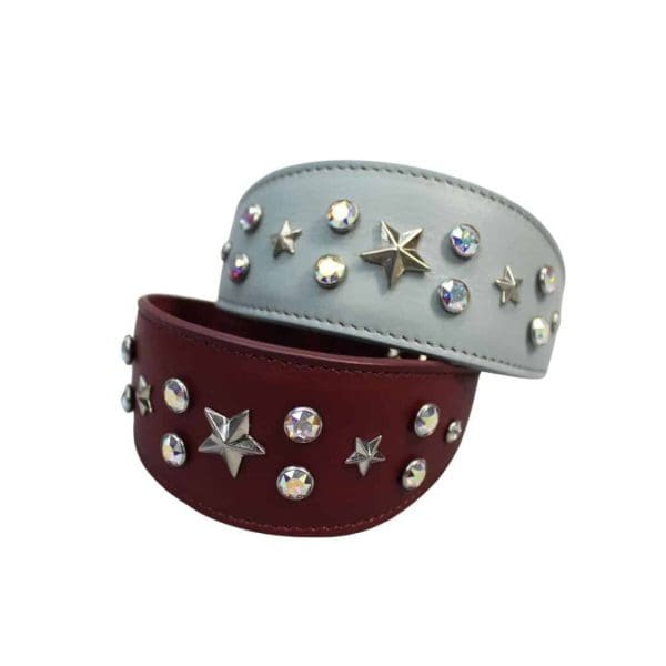 Caterina GH blue and Burgundy greyhound lurcher whippet dog collar