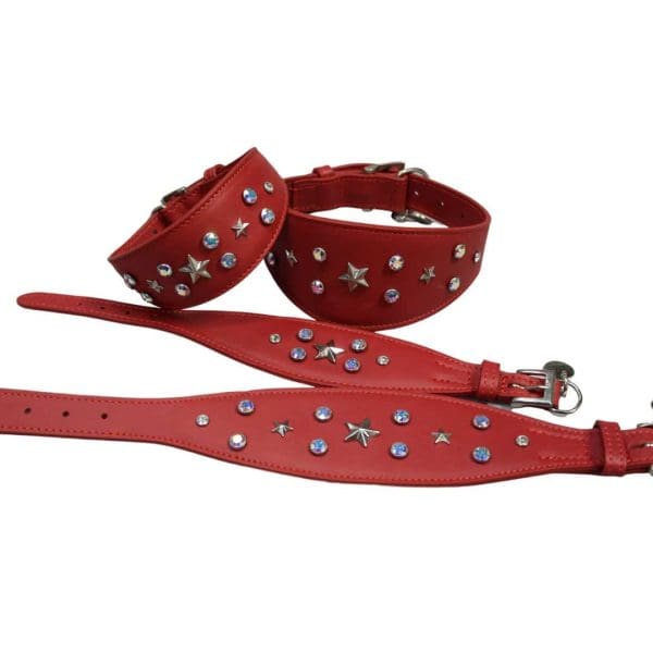 Caterina GH red greyhound lurcher whippet dog collar