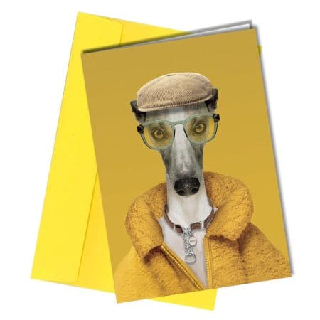 whippet dog birthday card