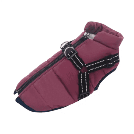 Purple waterproof dog coat