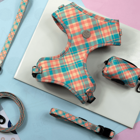 E002 Rosado Dog Harness Set