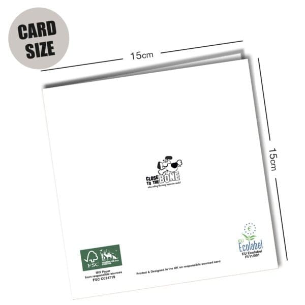 Card Size back 150 x 150mm